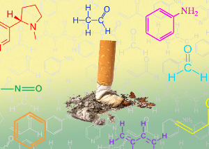 NicoZero blocks of the susceptibility of the receptors to nicotine